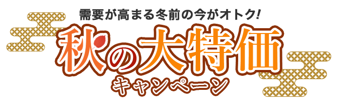 赤字覚悟の大特価キャンペーン (3製品あり)