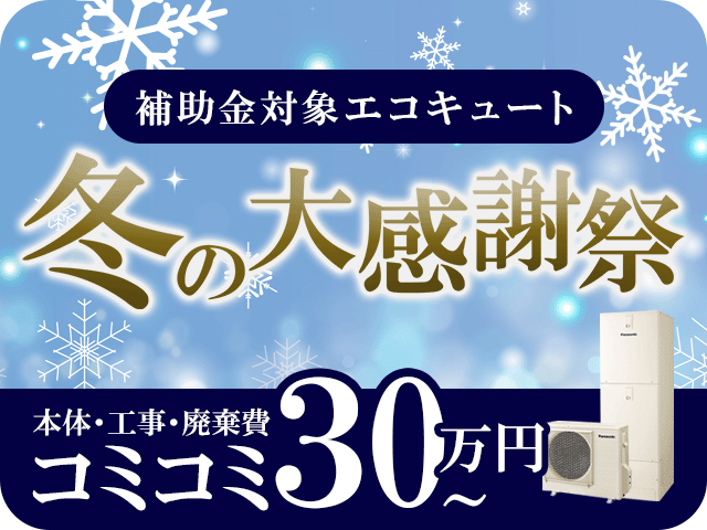 冬の大感謝祭キャンペーンバナー