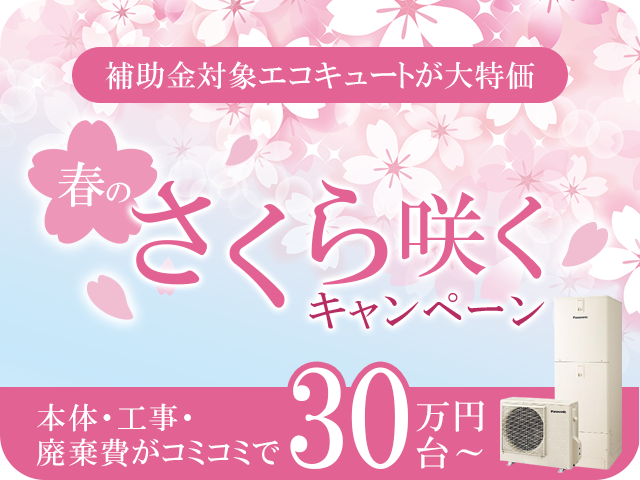 春のさくら咲くキャンペーンバナー