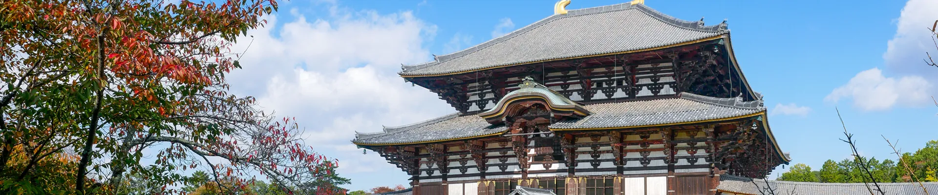 奈良県のイメージ画像