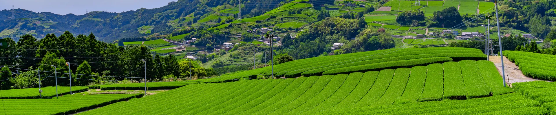 静岡県のイメージ画像