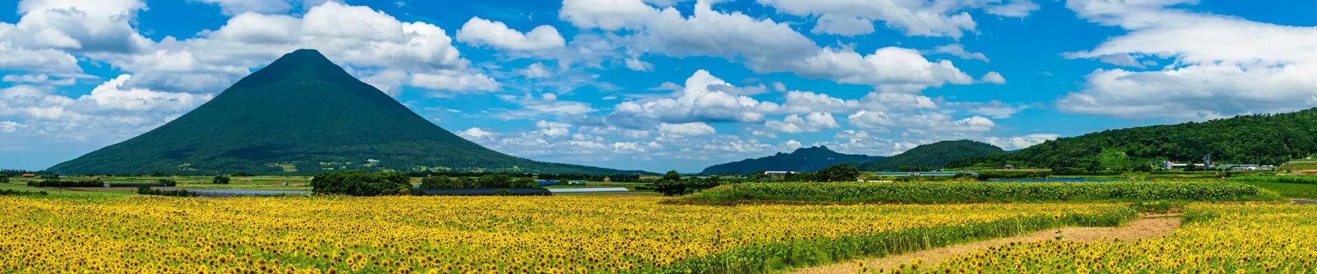 鹿児島県のイメージ